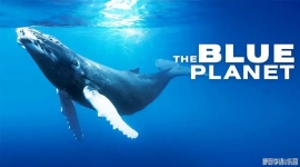 BBC��¼Ƭ ��ɫ���� The Blue Planet (2001) Ӣ�İ�ȫ8����Ӣ��Ļ����1080P��ƵMP4