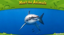 [Level 2]  Meet the Animals ȫ62 Ƶ720P/ʱ/汾/Ƶٶ
