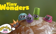 С�漣 Tiny Wonders Ӣ�İ��һ��ȫ10��Ӣ����Ļ����1080P��ƵMP4�ٶ���������
