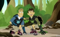 ����Ұ��̽�տ��ն����������ֵ� Wild Kratts������Ӣ�İ�5��+���İ�6��+̨�ʱ�+��Ƶ