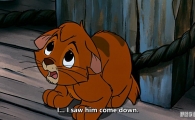 ���������ռ� Oliver & Company Ӣ��Ӣ�� ��������1080P��ƵMKV�ٶ���������