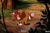 Թ The Fox and the Hound ӢӢ//ӢĻ 1080PƵMKv
