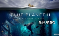 BBC¼Ƭ ɫ2 Blue Planet II (2017) İȫ74KƵMKVٶ