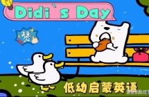 Didi's day ȫ31٣Ӣɴ￪ʼ