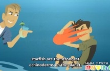 PSB˶ͯ:ֵ Wild Kratts Ӣİڰ˼ȫ10 ӢĻ 1080P