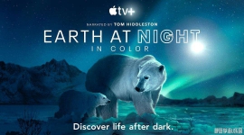 ҹɫеĵ ڶ AppleTV 2021 4K廭