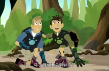 ����Ұ��̽�տ��ն����������ֵ� Wild Kratts������Ӣ�İ�5��+���İ�6��+̨�ʱ�+��Ƶ