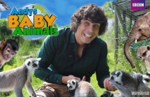 安迪的动物宝宝 Andy's Baby Animals 中文版全20集国语1080P视频MP4+音频MP3下载