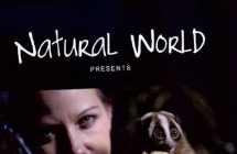 BBC ��Ȼ����: צ�۴��־��� 2012 Jungle Gremlins of Java Ӣ�����ָ���720P��ƵMKV