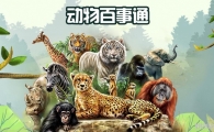 ͨ ALL ABOUT ANIMALS SERIES ӢİBBCսĿ1/2ȫ521080P