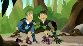 ����Ұ��̽�տ��ն����������ֵ� Wild Kratts������Ӣ�İ�5��+���İ�6��+̨�ʱ�+��Ƶ