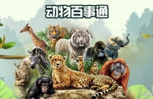 ͨ ALL ABOUT ANIMALS SERIES ӢİBBCսĿ1/2ȫ521080P