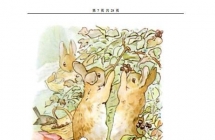 ˵/ȵPeter Rabbitϵ19ͯPDF+WORD+TXT+MP3