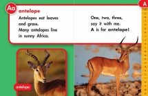 ׶԰СѧĶ Literacy by design GK-G249 PDFҳ ٶ