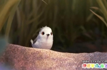 ŷӰ|2016| Piper|89˹ѶƬ|720P|MP4ʽ|ٶ