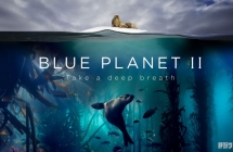 BBC¼Ƭ ɫ2 Blue Planet II (2017) Ӣİȫ7ӢĻ1080PƵMP4