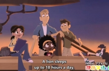 PSB˶ͯ磺ֵ Wild Kratts Ӣİ弾ȫ10 ӢĻ 1080P