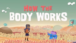 ι How your body works Ӣİȫ18ӢĻ720PƵMP4