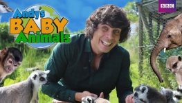 ϵĶﱦ Andy's Baby Animals Ӣİȫ20ӢӢ1080PƵMP4+ƵMP3