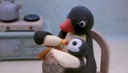 ŷ|1986| Pingu|1-6156|DVDϼ|ЦƬ|ٶ