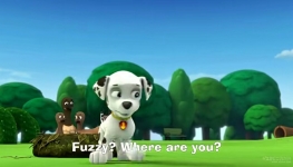 ���������� paw patrol Ӣ�� 1-7������ӦӢ����Ƶ