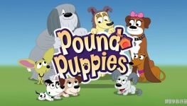 С Pound Puppies İȫ39ָ720PƵMP4ٶ
